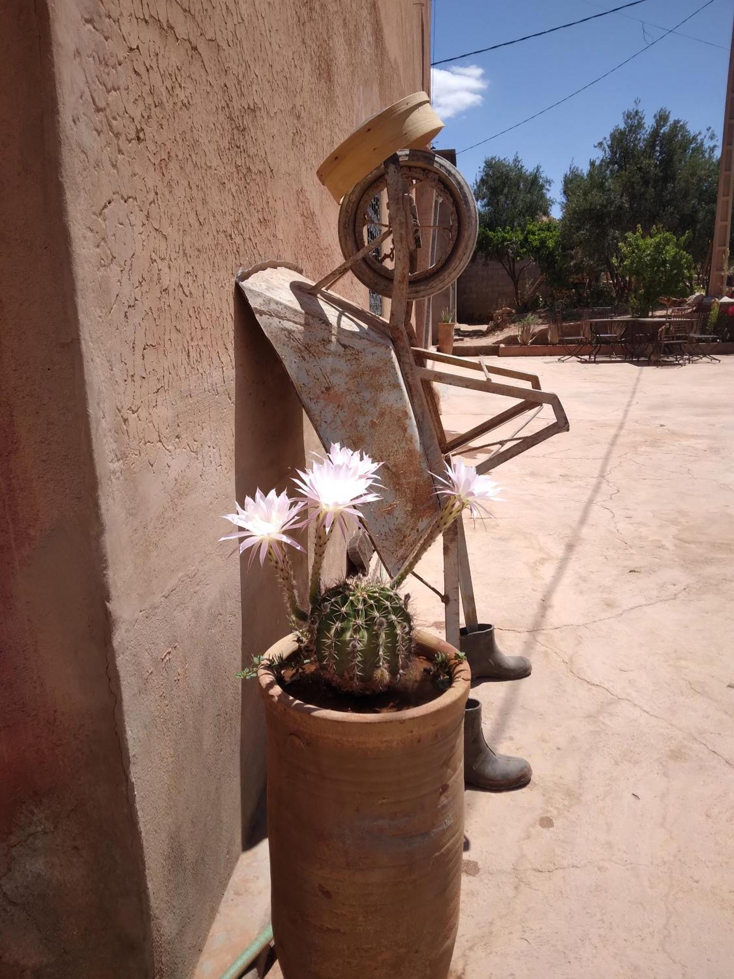 Hotel Dar Bilal Aït-Ben-Haddou Exterior foto