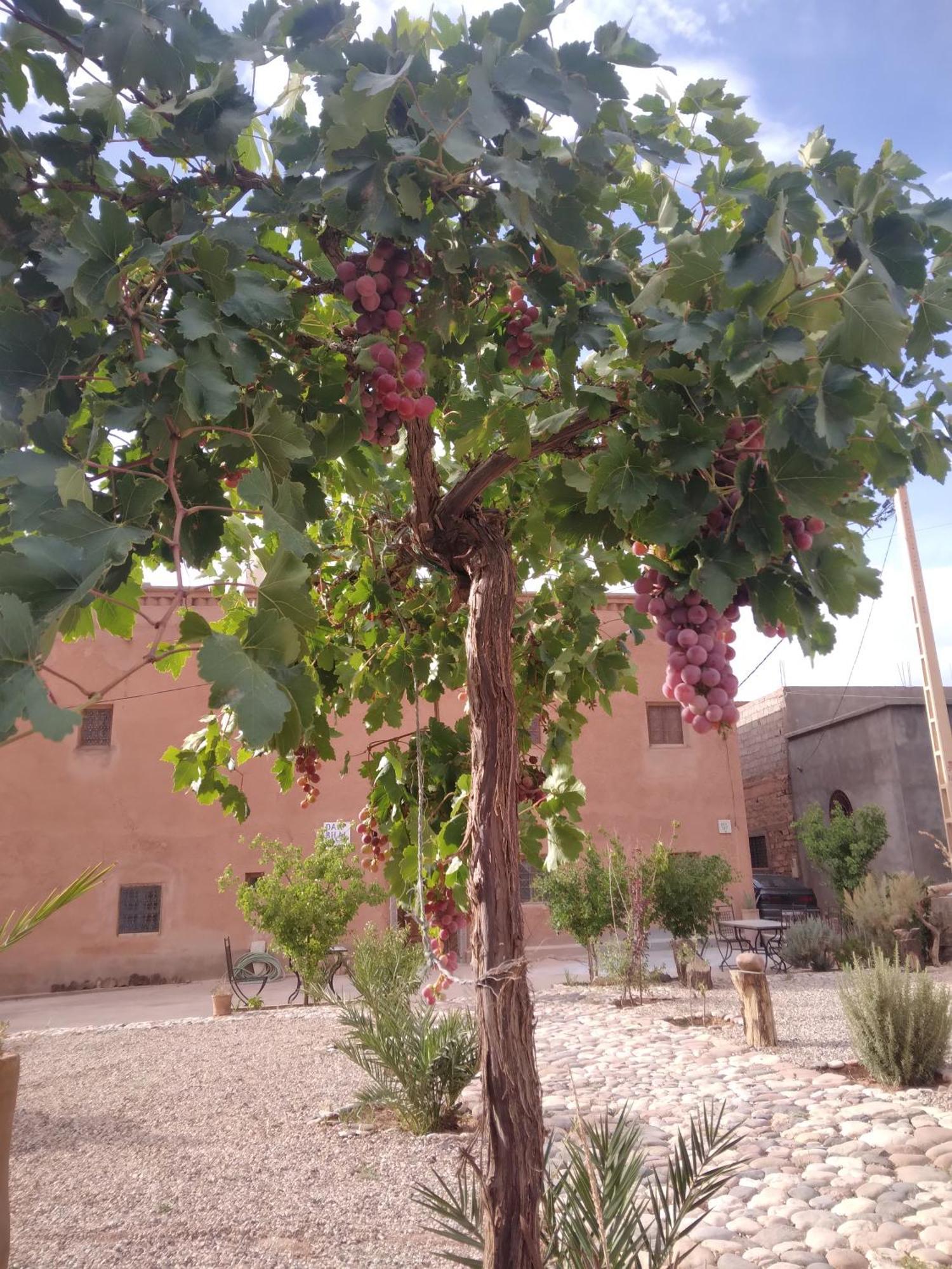 Hotel Dar Bilal Aït-Ben-Haddou Exterior foto